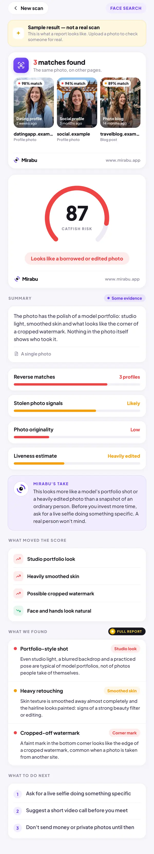 Face Search, Sample result — not a real scan. CATFISH RISK 87: Looks like a borrowed or edited photo. Portfolio-style shot. Heavy retouching. Cropped-off watermark.